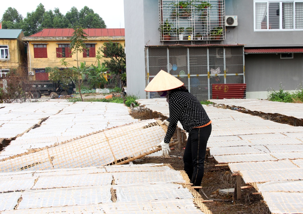 Thành phố Bắc Giang: Thực hiện "Tháng hành động vì an toàn thực phẩm năm 2023” lĩnh vực nông...