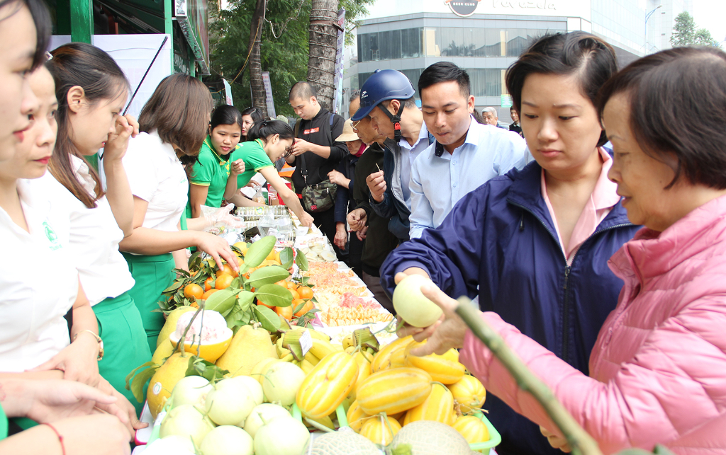 Lục Nam triển khai kế hoạch bảo đảm an ninh, an toàn thực phẩm trong tình hình mới