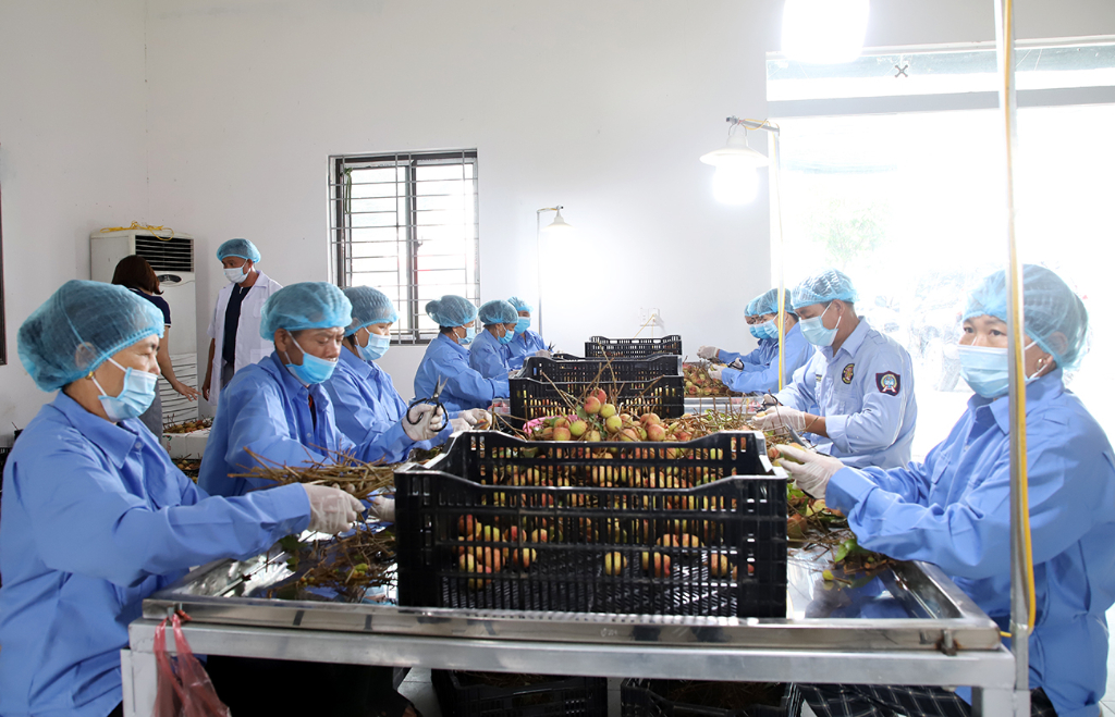 TP Bắc Giang: Bảo đảm hoạt động sản xuất, kinh doanh theo quy định về an toàn thực phẩm
