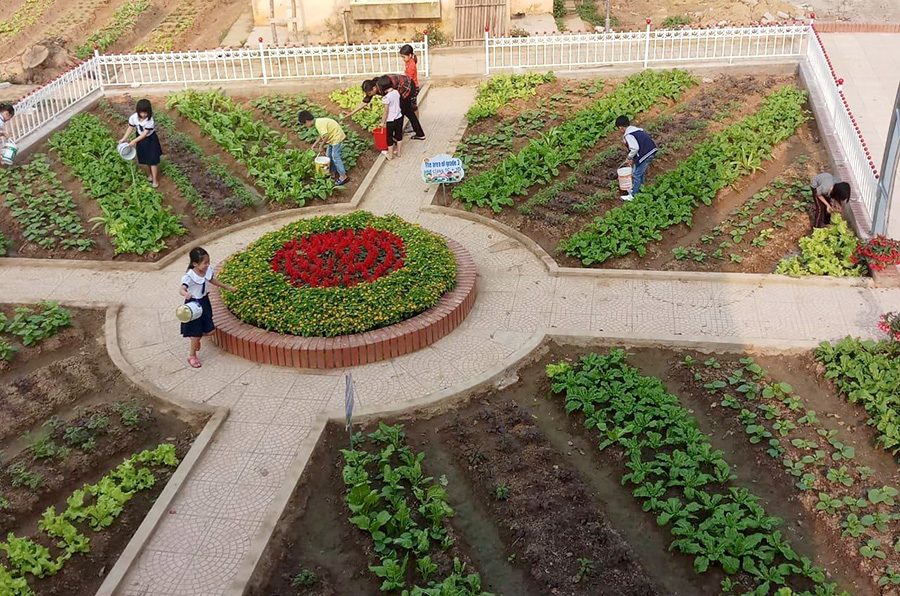 Hiệp Hòa: Vườn trải nghiệm lao động sản xuất tại Trường Tiểu học Danh Thắng.