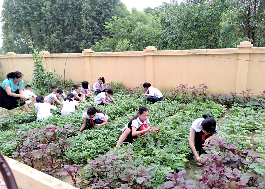 TP. Bắc Giang đẩy mạnh phong trào học tập gắn với lao động, tự sản xuất các vườn rau sạch