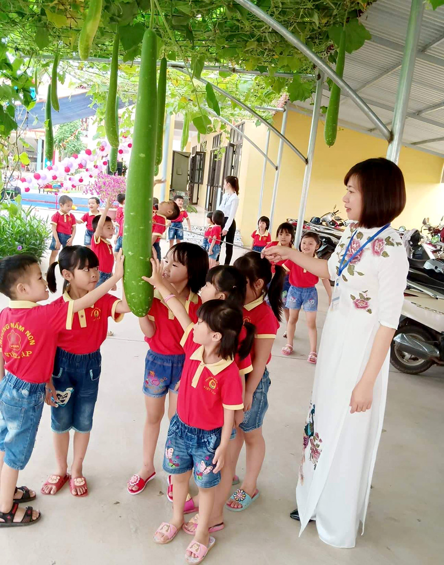 Trường Mầm non Việt Lập thực hiện tốt mô hình vườn rau sạch cho bé ...