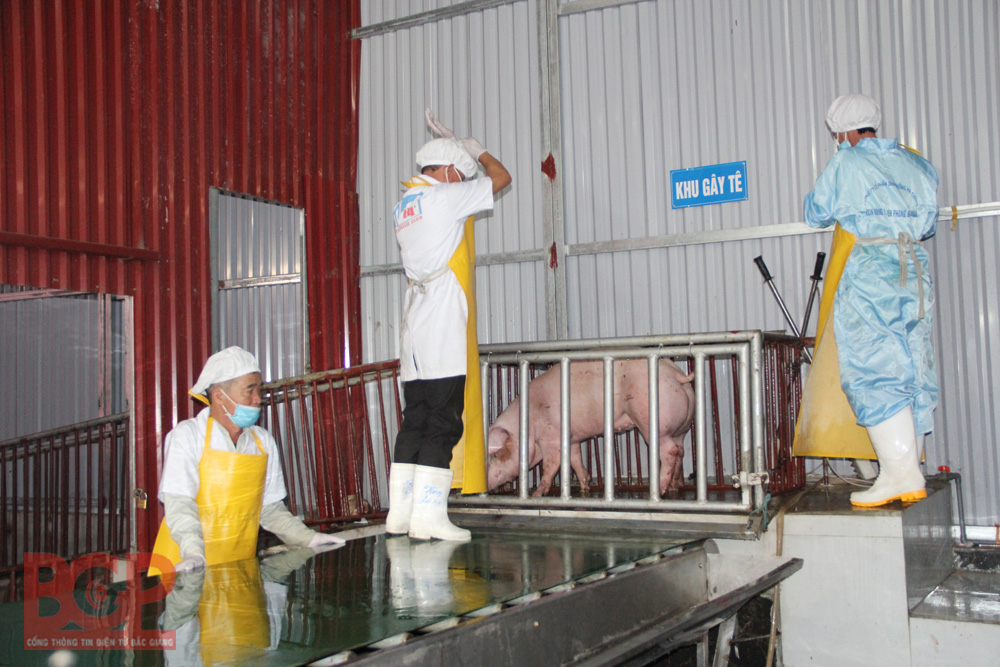 Bắc Giang: Quy định một số nội dung quản lý nhà nước về an toàn thực phẩm